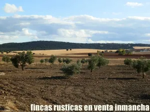 finca en venta 350 has. labor secano olivar