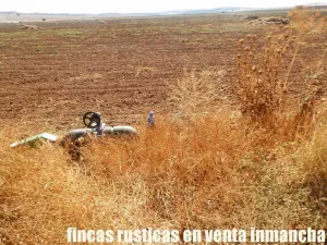 finca en venta 184 has. labor riego Belmonte