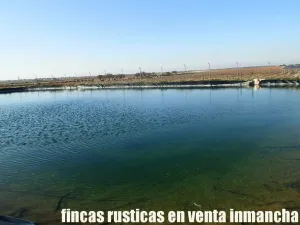 finca en venta 22 has. Pistacho-Labor riego