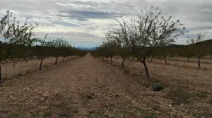 Finca de 300 Hectáreas