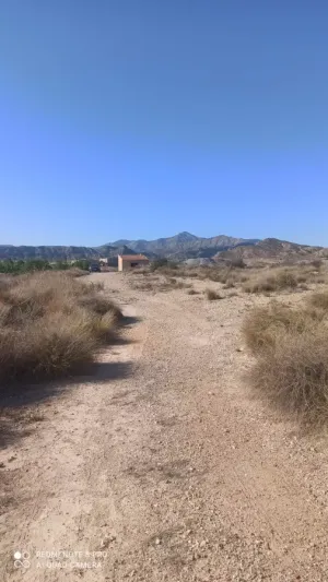 PARCELAS rústicas en Agost.