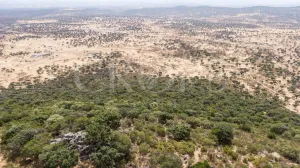 Finca ganadera en Los Baldíos (Badajoz)
