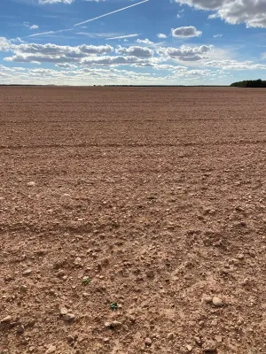 [gestifincarustica] - Tierra calma de  labor