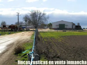 finca en venta 150 has. labor secano almendro