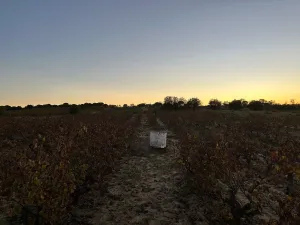 Finca con pozo Bollullos Par del Condado