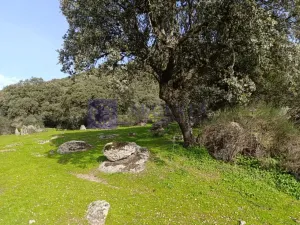 FINCA  110 HECTÁREAS EN LA ZONA DE ALCUESCAR