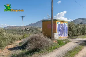 Finca rústica en Cogollos Vega (con toma de luz y agua en la entrada)