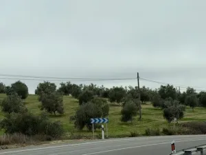 Finca Olivos Espejo (Córdoba)