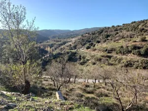 Cortijo con Amplio Terreno en Laroya Macael