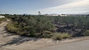 Finca Rústica en Monforte del Cid, Alicante - ¡Una Oportunidad Única! 🌳🌞