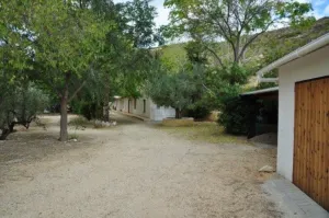 Finca en Torremanzanas