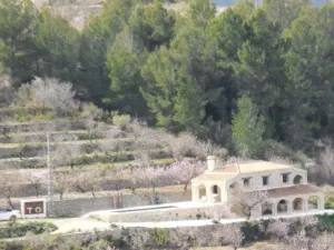 Finca en Tarbena - Alicante