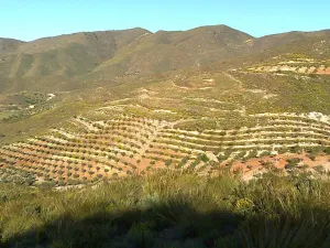 Finca con catorce hectareas.