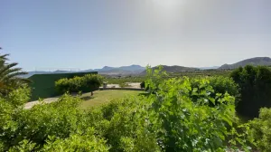 FINCA RUSTICA CON ALMENDROS ECOLOGICOS - BALSA DE RIEGO