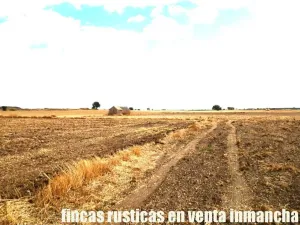 finca en venta 9 has labor regadío en Daimiel