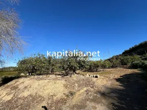 FINCA DE NARANJOS A LA VENTA EN LA LLOSA DE RANES