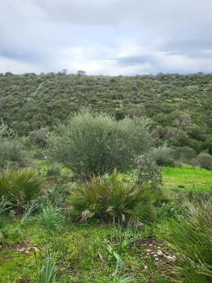 Se vende finca con vistas increíbles
