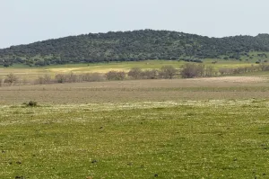FINCA GANADERA Y DE CULTIVO CERCA DE CÁCERES