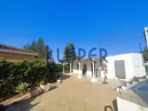 SE VENDE FINCA RÚSTICA A TAN SOLO 5 MINUTOS DE SAN VICENTE