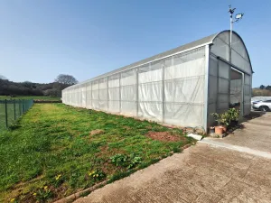 explotación agrícola en Llanera