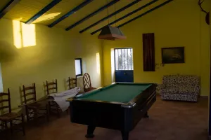 Finca rustica olivar y recreo