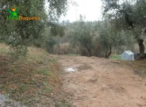 Finca rústica en Peligros con muy buen acceso.