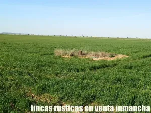finca en venta 366 has. labor viña en Toledo