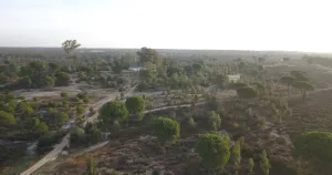 Finca de 159 ha en Doñana /Coto privado