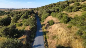Finca Rústica en Pizarral, Salamanca