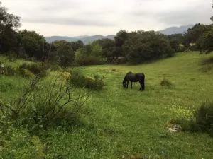 Finca con vivienda y inst.ecuestres
