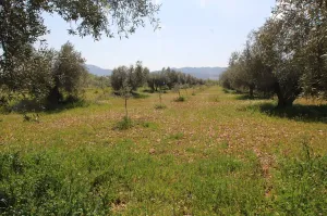 Venta de casa rústica en CR-7131, 1 km