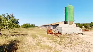 Explotación agropecuaria en producción de 21h