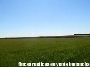 finca en venta 295 has. labor secano Albacete