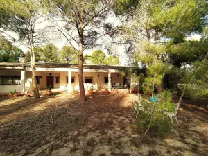 EXCEPCIONAL FINCA RUSTICA LA ALCAYNA/ROMERAL
