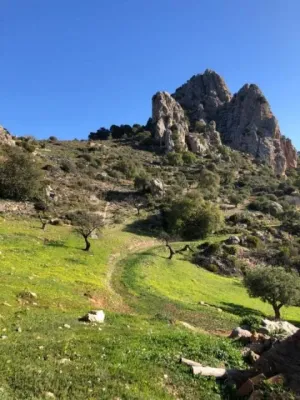 Finca en Alora