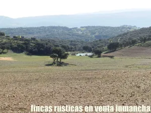 finca en venta 25 has. recreo ganadera