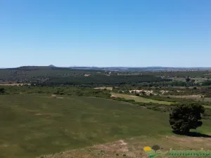 finca en venta 544 has. labor viña caza mayor