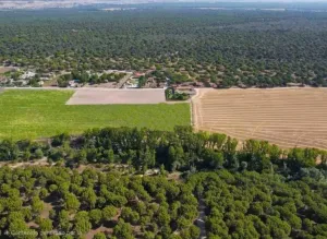 Magnifica finca, gran casa para negocio rural