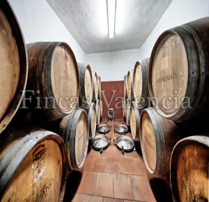 BODEGA DE AUTOR EN PRODUCCIÓN. CASI 6 HECTAREAS DE VIÑEDOS