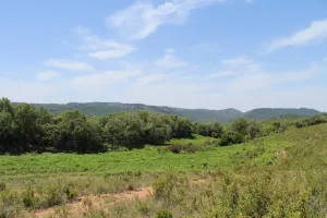 Finca de caza, ganadera, agrícola. Ref. 1548