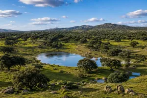 ^**^ACTIVO PATRIMONIAL ÚNICO EN ESPAÑA –4.500 HECTÁREAS DE DEHESA, CAZA, RECURSOS NATURALES Y EXPLOTACIÓN AGROFORESTAL^**^