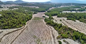 HACIENDA RUSTICA CON CASA CORTIJO - MORATALLA