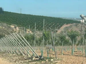 FINCA EN ALHAMA DE MURCIA