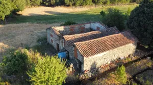 Finca de regadío con gran potencial