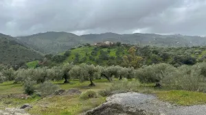 Riogordo - Colmenar 262,3 Ha Cortijo Napolín