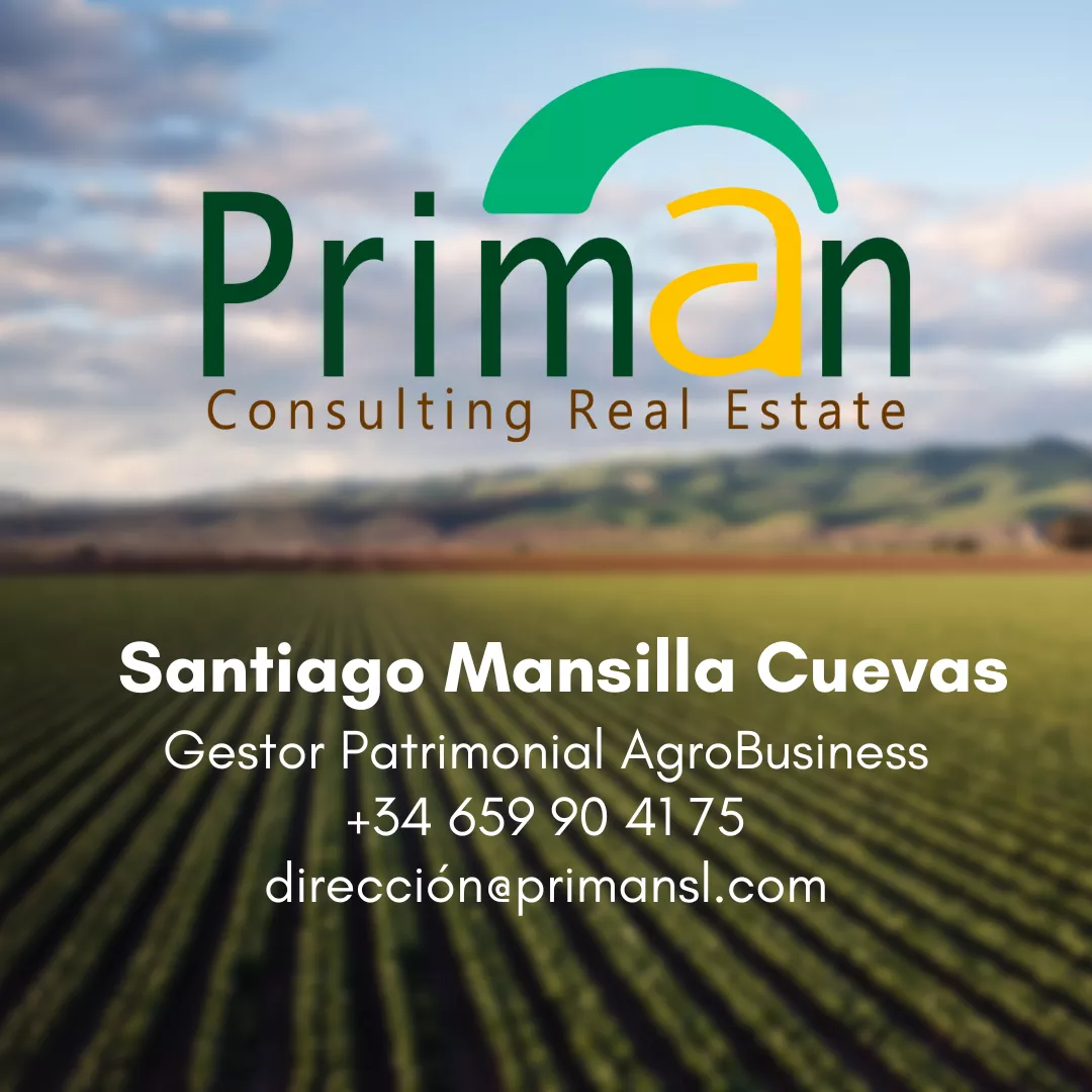 anunciante